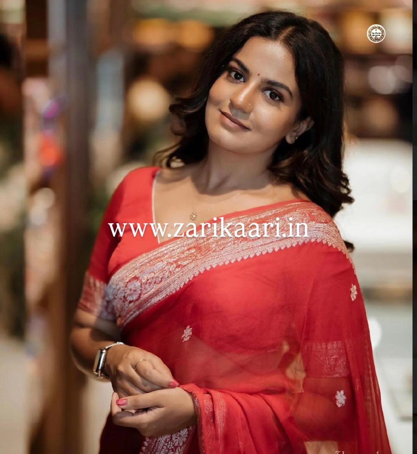 Pure Handloom Georgette Banarasi Saree - Red